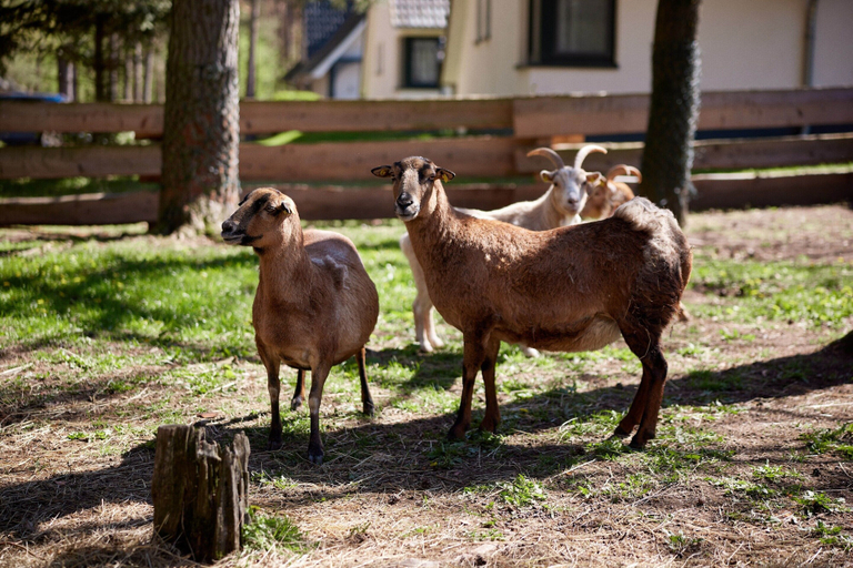 Garden 4, Doppelhaushalften im Naturresort Drewitz, Mecklenburgische Seenplatte