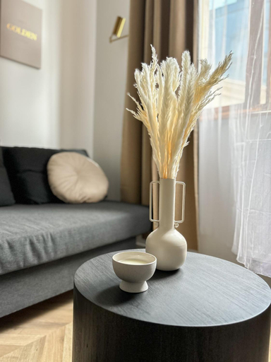 Others 5, LION apartments - PLATINIUM, Kraków City