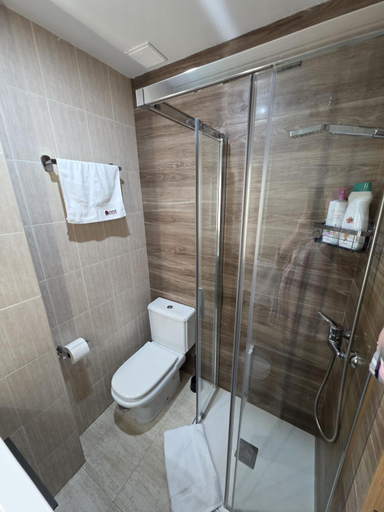 Bathroom 4, Hostal De la Rosa by Parque Warner Madrid, Madrid