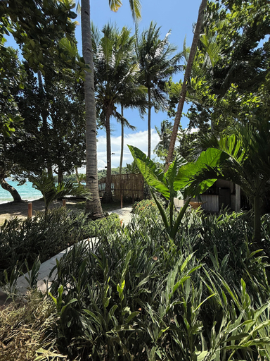 Property grounds 4, Baia beachfront boutique lodge, San Vicente