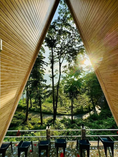 Property grounds 4, The Tea Tribe Stay - Offbeat Darjeeling, Darjiling