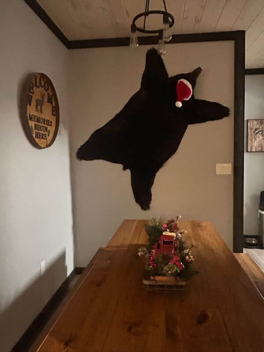 Room 4, Sassy Bear Hideaway by Beyond Expectations, Sevier