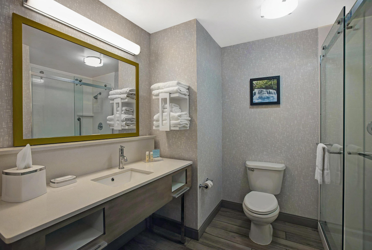 Bathroom 4, Hampton Inn Westfield, Hampden
