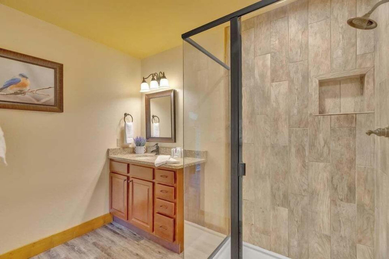 Bathroom 3, Splash Mountain Lodge, Sevier