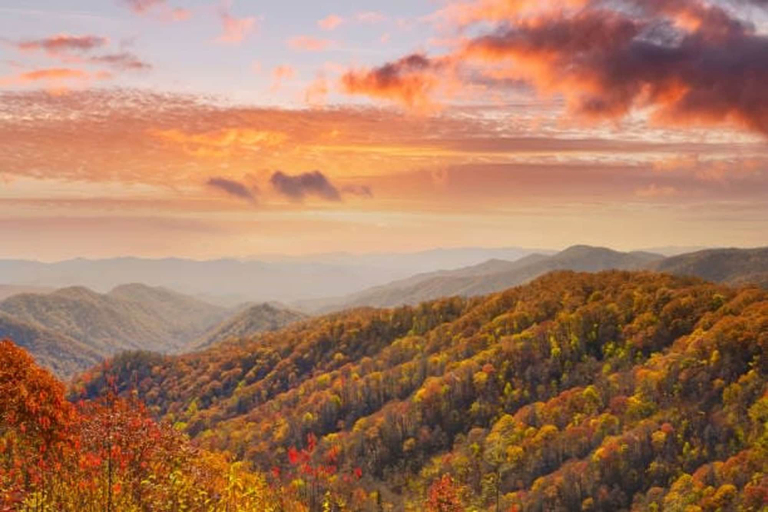 Room 4, 1023 English Mtn Condo By Beyond Expectations, Sevier