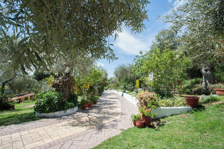 Garden 4, SYRAINA STUDIOS, Thessaly