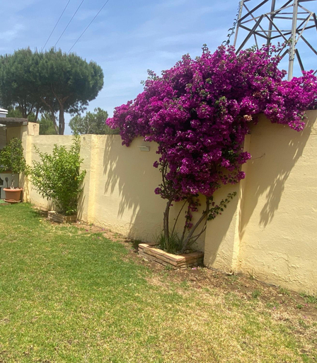 Others 3, Suite Huelva garden, Huelva