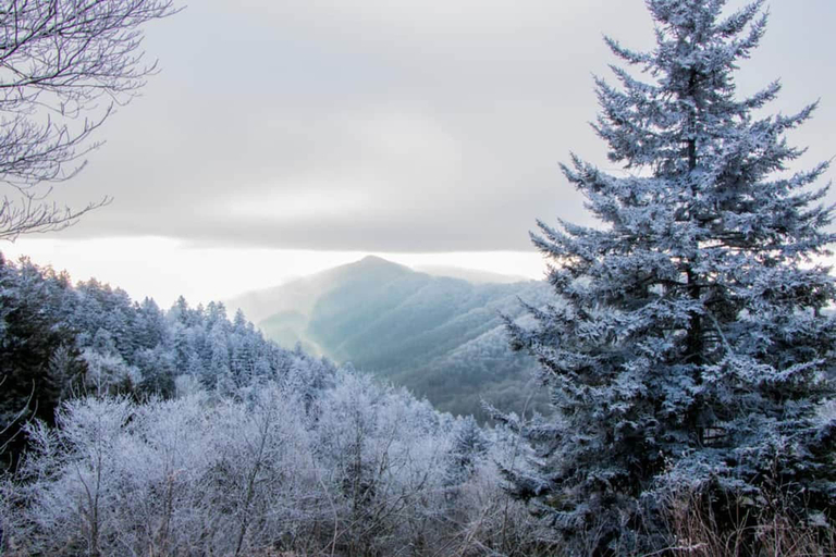 Room 5, Black Bear Cabin by Beyond Expectations With Hot Tub, Sevier