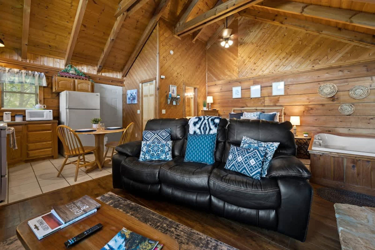 Room 5, View Location Studio Log Cabin Hot Tub Fireplace, Sevier