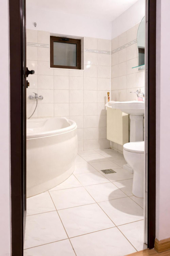Bathroom 3, Pensiunea Alis, Calimanesti