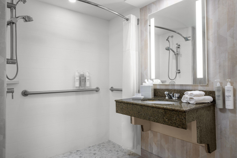 Bathroom 5, Hampton Inn Miami-Airport West, Miami-Dade
