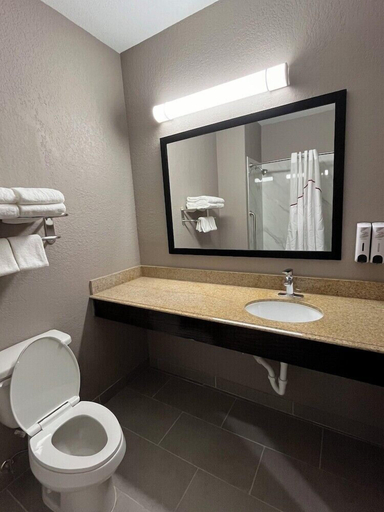 Bathroom 4, Comfort Inn San Antonio Northeast, Bexar
