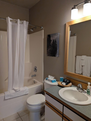 Bathroom 3, Waterfront at Potlatch, Mason