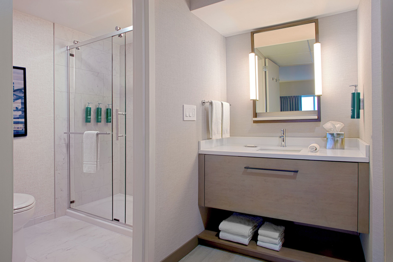 Bathroom 5, Doubletree by Hilton Cedar Rapids Convention Complex, Linn