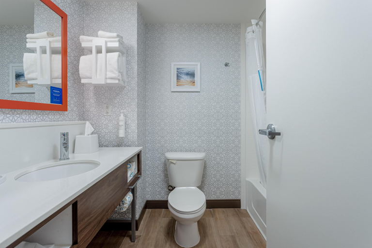 Bathroom 4, Hampton Inn & Suites Orange Beach/Gulf Front, Baldwin