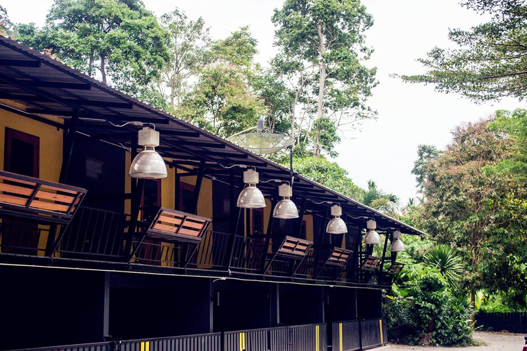 2, Baan Kao Kod, Lan Saka