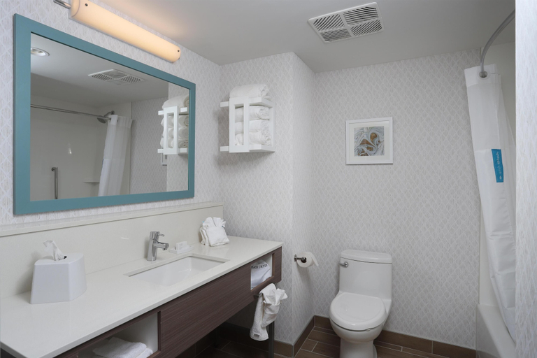 Bathroom 5, Hampton Inn & Suites Manistee Waterfront, Lake Michigan