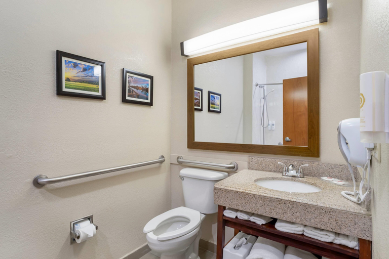 Bathroom 4, Comfort Suites Brenham, Washington