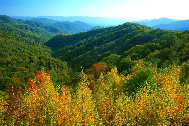 Room 4, Day Dreamer Cabin With Views by Beyond Expectations, Sevier