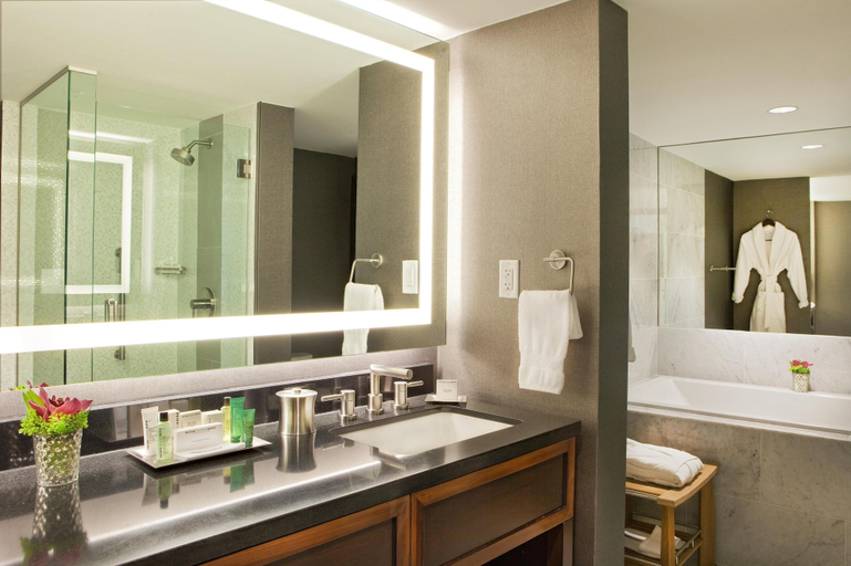 Bathroom 4, Hilton Nashville Downtown, Davidson