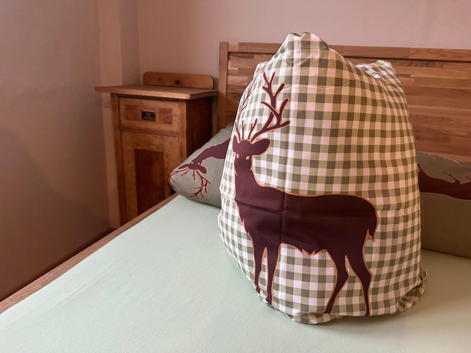 Room 2, Ferienhaus in Saalbach-hinterglemm, Zell am See