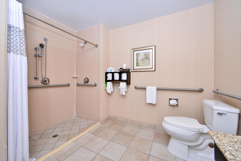 Bathroom 5, Hampton Inn Pecos, Reeves