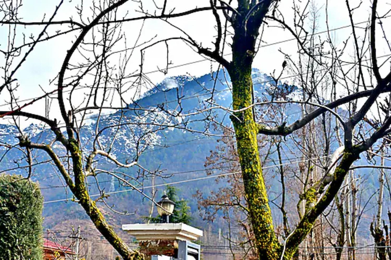 3, Northland Residency Srinagar Jammu & Kashmir, Srinagar
