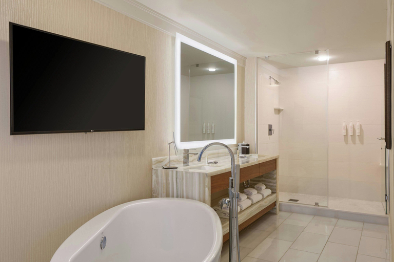 Bathroom 5, Marriott Marquis Houston, Houston
