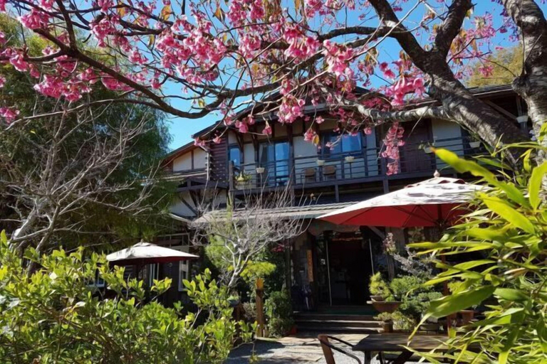 Garden 2, Shiwai Taoyuan B&B, Nantou