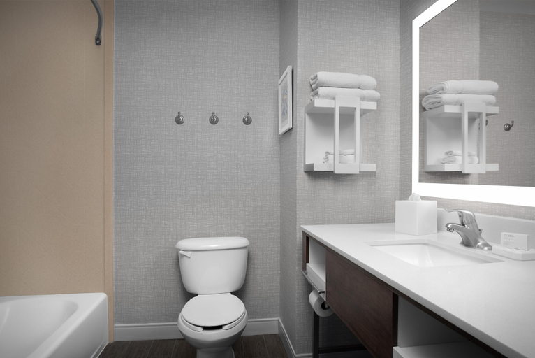 Bathroom 4, Hampton Inn & Suites Lakeland-South Polk Parkway, Polk