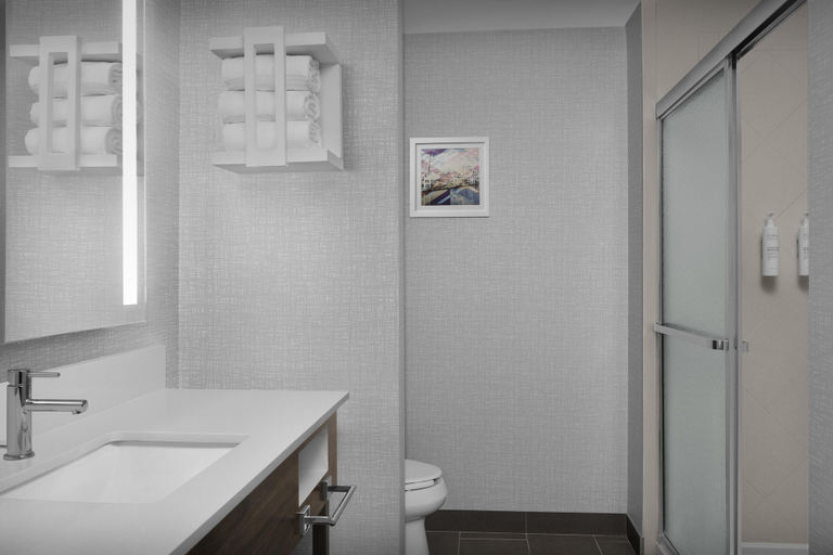 Bathroom 4, Hampton Inn & Suites Jacksonville South - Bartram Park, Duval