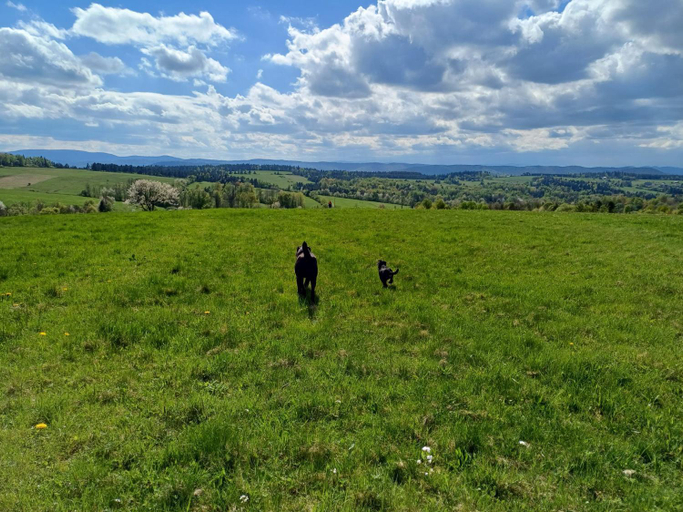 Others 4, Kuznia Nowica, Gorlice