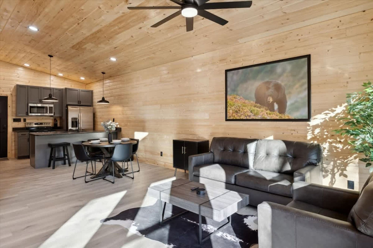 Room 4, Green Black Bear Cabins by Beyond Expectations, Sevier