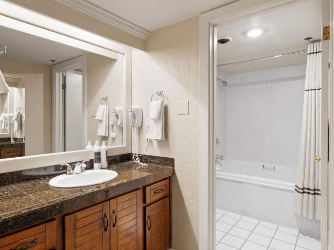 Bathroom 4, Silver King by All Seasons Resort Lodging, Summit