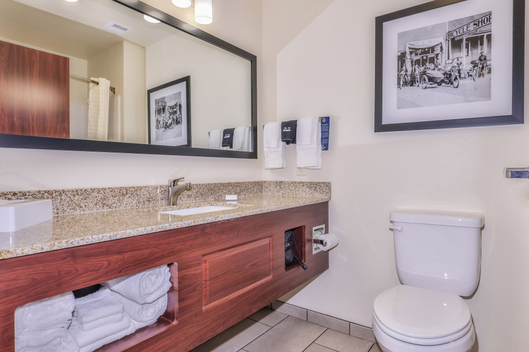 Bathroom 3, Cobblestone Hotel & Suites - Bay Minette, Baldwin