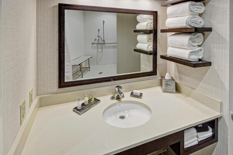 Bathroom 5, Black Fox Lodge Pigeon Forge, Tapestry Collection by Hilton, Sevier