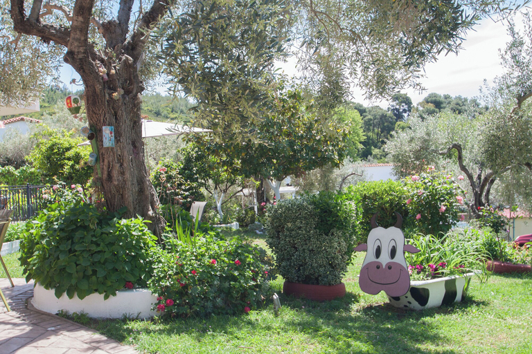 Garden 3, SYRAINA STUDIOS, Thessaly