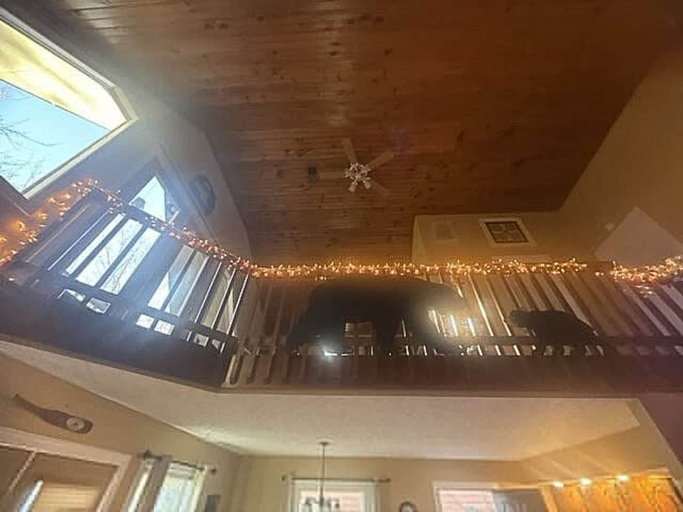 Room 5, Bear Valley Cabin by Beyond Expectations, Sevier