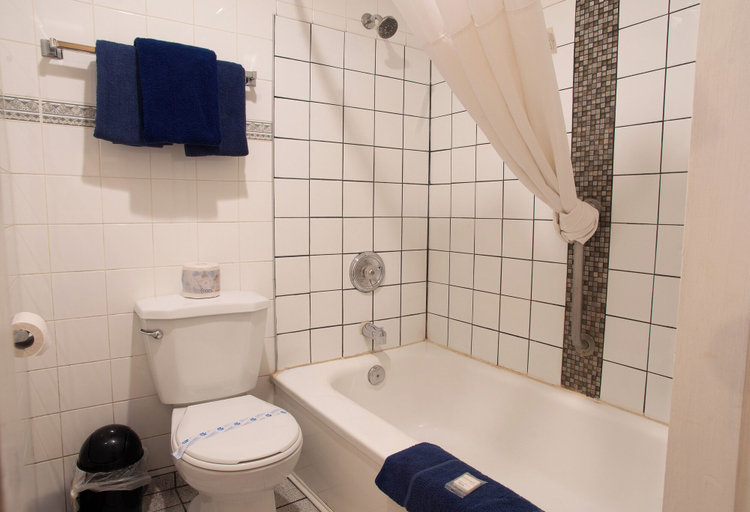 Bathroom 5, EasyStay Inn & Suites Fernie, East Kootenay