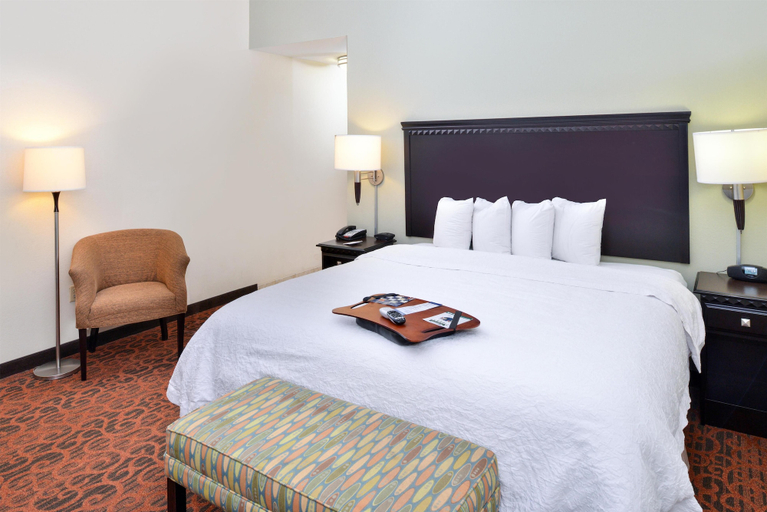 Bedroom 4, Hampton Inn Pecos, Reeves