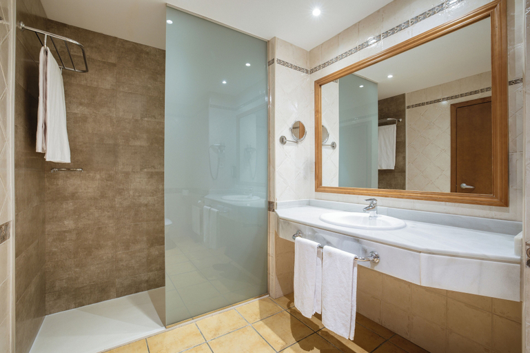 Bathroom 5, Hotel IPV Palace & Spa, Málaga