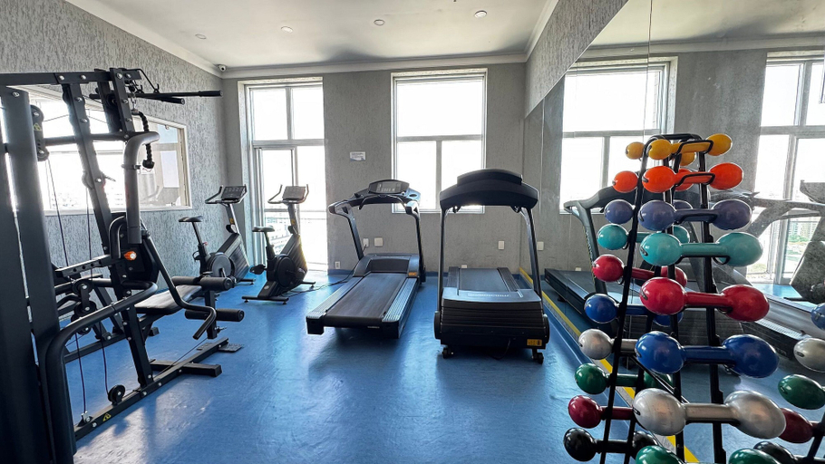 Fitness facility 2, HOTEL PERDIZES - Flat Executivo - 1402, São Paulo