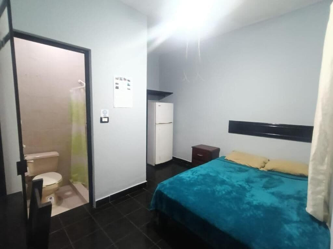 Room 3, García's Suites y Hotel Alameda, Linares