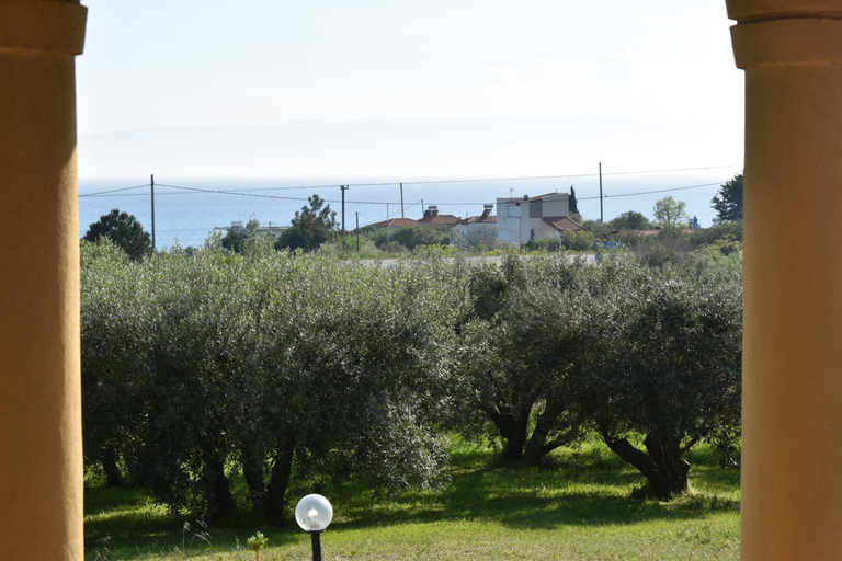 Others 4, Earthly paradise Kariani, East Macedonia and Thrace