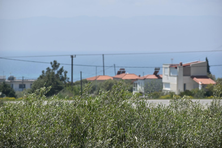 Others 3, Earthly paradise Kariani, East Macedonia and Thrace
