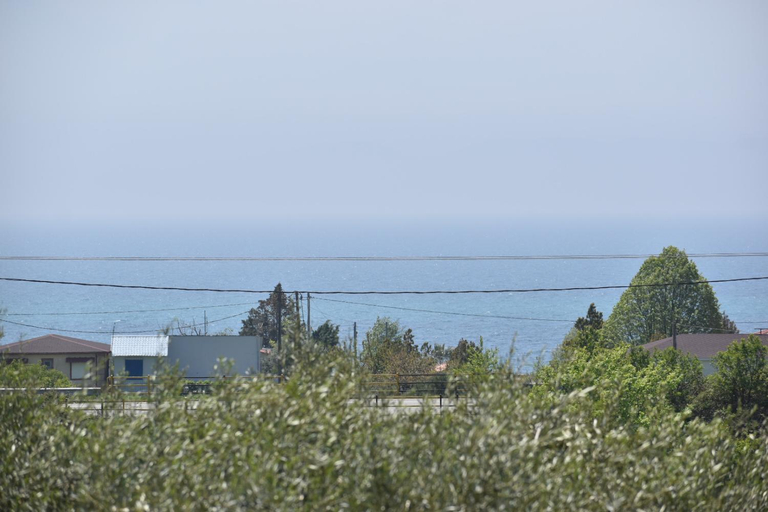 Others 2, Earthly paradise Kariani, East Macedonia and Thrace