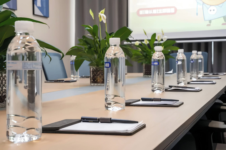 Meeting facility 3, The Riverside Phoenix, Xiangxi Tujia and Miao