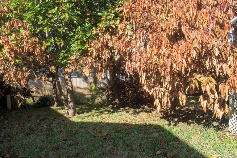 Property grounds 2, Peace of Mind and Resting place, Saint Lucie