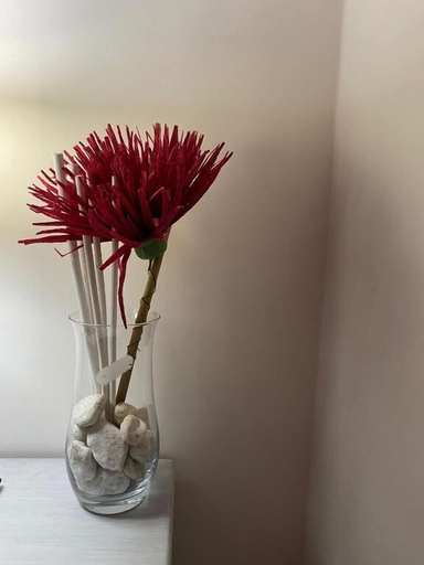 Others 5, Bed & Breakfast Mafi, Chieti