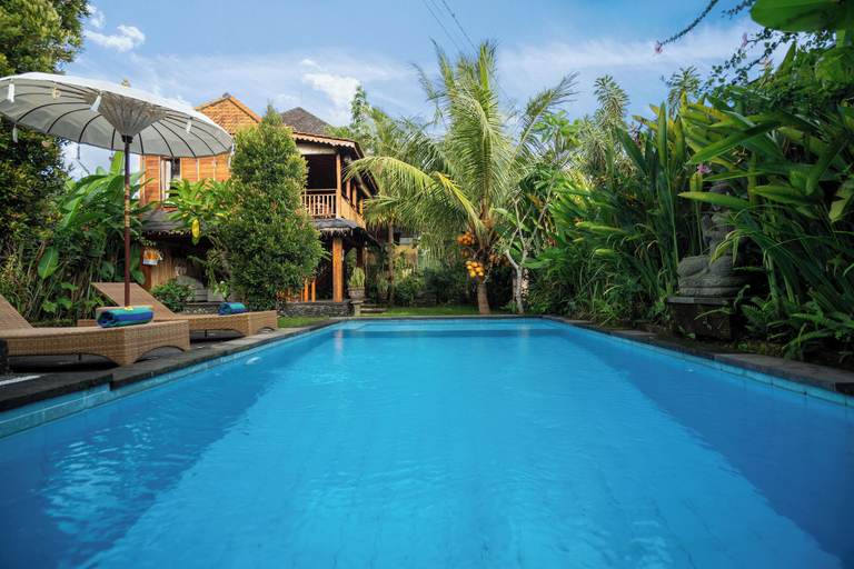 Private pool 2, Aris Villa Ubud, Gianyar